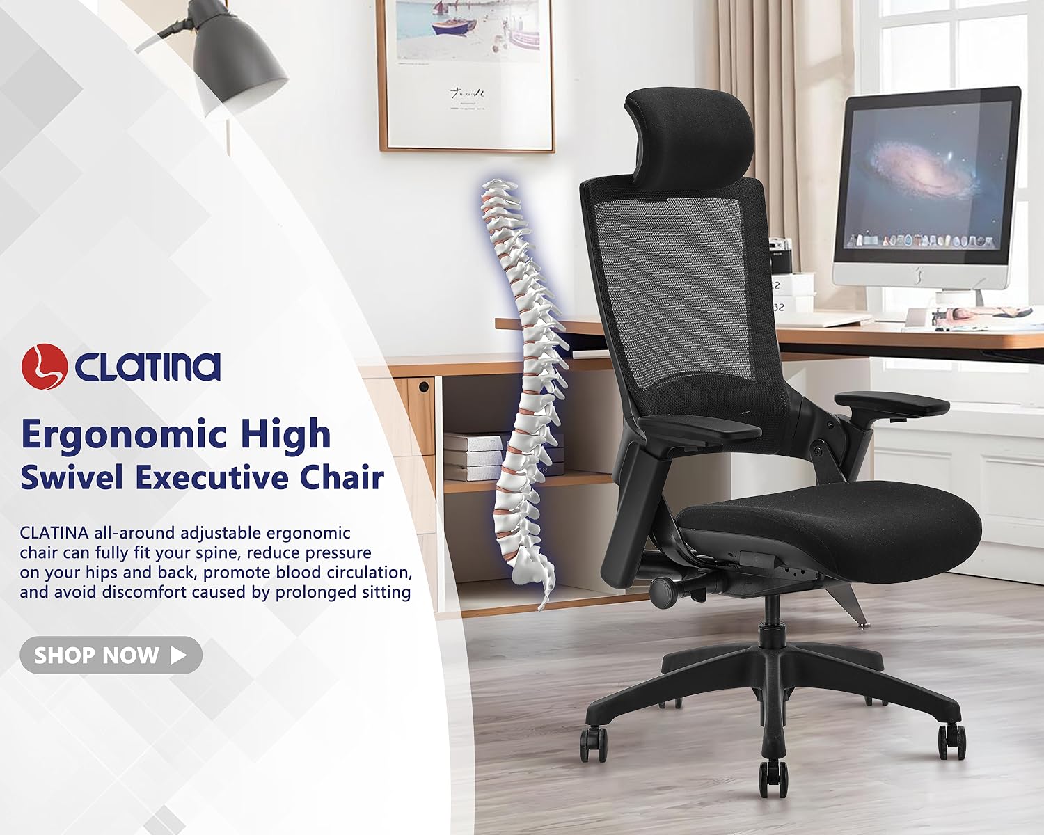 CLATINA Office Chairs in Executive Space
